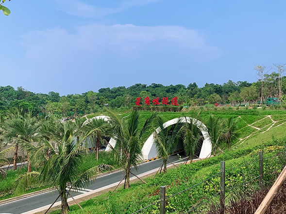 珠海情侶路菱角咀隧道.png